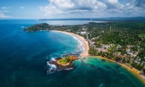 RAINFOREST & BEACHES SRI LANKA