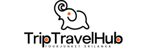 triptravelhub.com